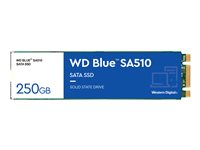 WD Blue SA510 WDS250G3B0B - SSD - 250 GB - sisäinen - M.2 2280 - SATA 6Gb/s - sininen WDS250G3B0B