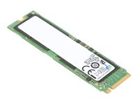 Lenovo ThinkPad - SSD - salattu - 1 Tt - sisäinen - M.2 2280 - PCIe 4.0 x4 (NVMe) - TCG Opal Encryption 2.0 malleihin ThinkCentre M70s Gen 3; M80q Gen 3; M90q Gen 2; ThinkCentre neo 70; ThinkStation P35X 4XB1D04757