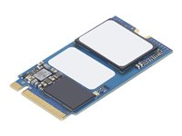 Lenovo - SSD - 256 GB - sisäinen - M.2 2242 - PCIe 3.0 x4 (NVMe) malleihin ThinkBook 14 G3 ACL; 14 G3 ITL; 14s Yoga G2 IAP; 15 G2 ITL; 15 G3 ACL; 15 G3 ITL 4XB1E26214